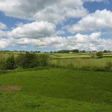 Ceridwen Holiday Homes Llandysul Eksteriør billede