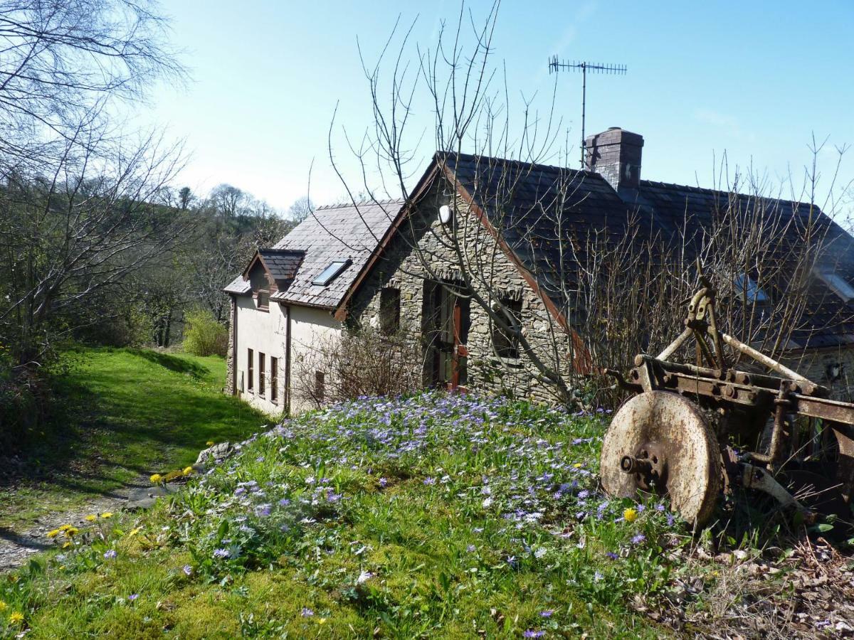 Ceridwen Holiday Homes Llandysul Eksteriør billede